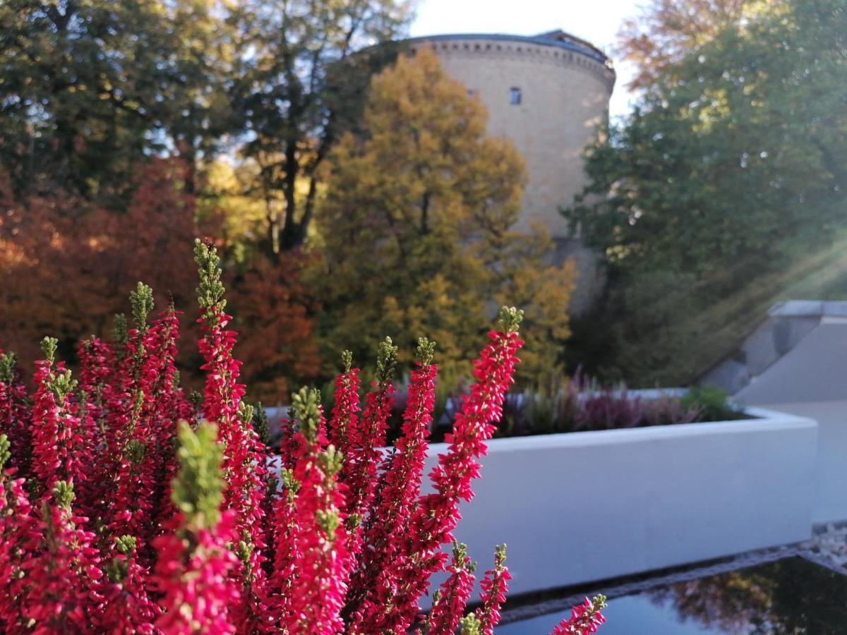Apartment Serenade Am Zwinger 戈斯拉尔 外观 照片