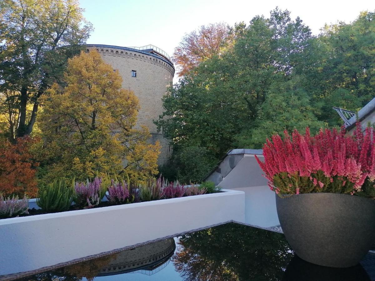 Apartment Serenade Am Zwinger 戈斯拉尔 外观 照片